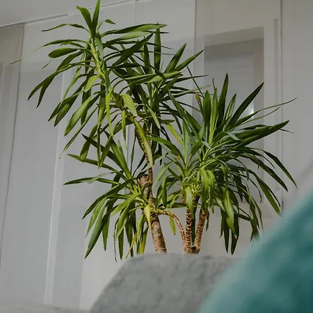 Modern - Ruhige Lage - Zentrumsnah - 2 Appartamento